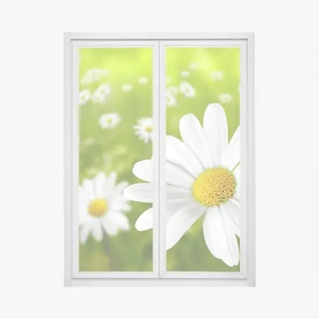 Pegatina para ventana margaritas en pradera verde – Pixers®