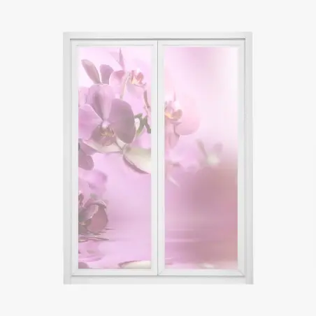 Pegatina para ventana orquídeas rosadas en reflejo acuático – Pixers®