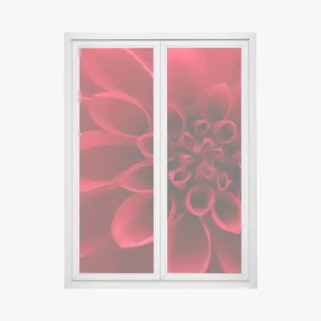 Pegatina para ventana dalia roja en primer plano – Pixers®