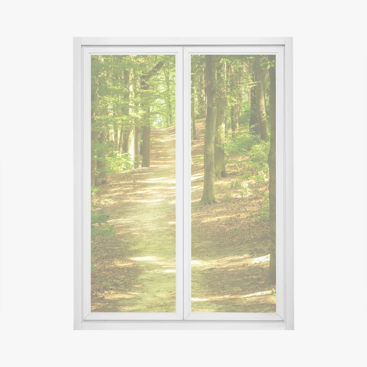 Pegatina para ventana sendero luminoso en el bosque – Pixers® Pegatina para ventana sendero luminoso en el bosque – Pixers®