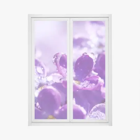 Pegatina para ventana lilas moradas en primer plano con gotas de rocío – Pixers®