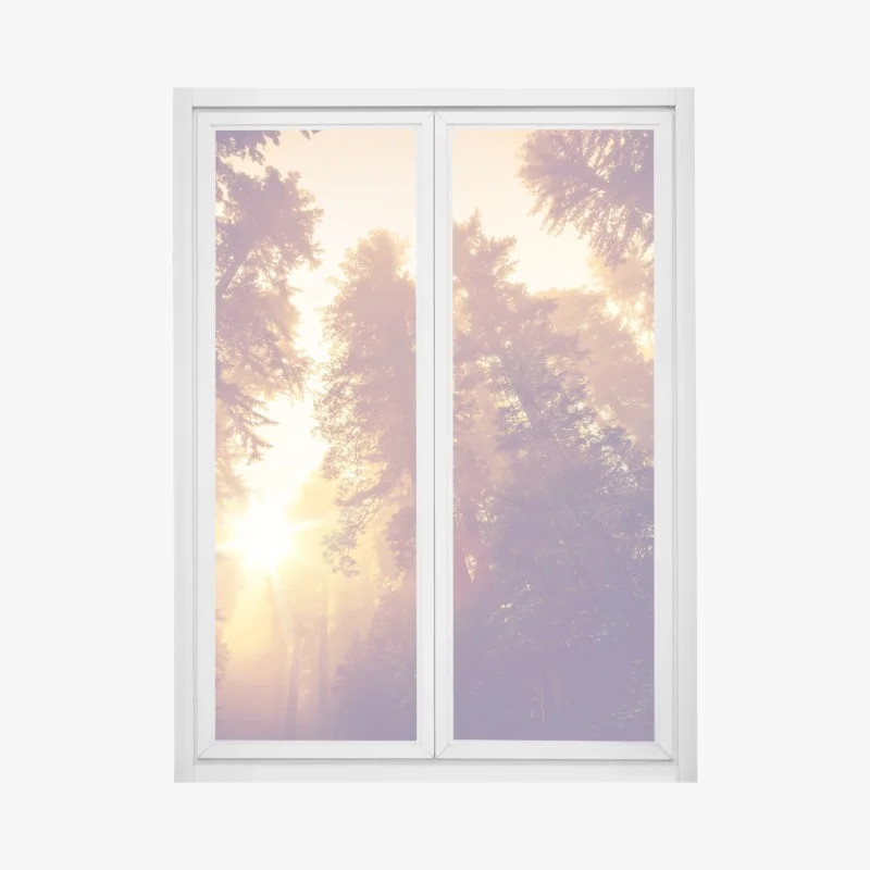 Pegatina para ventana amanecer mágico en el bosque de secuoyas