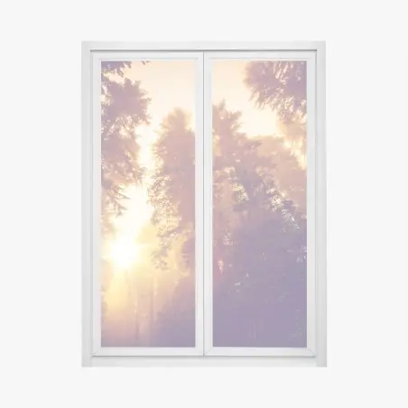 Pegatina para ventana amanecer mágico en el bosque de secuoyas – Pixers®