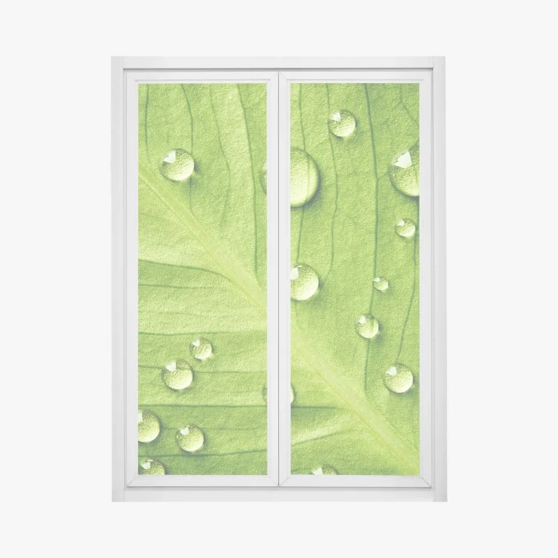 Pegatina para ventana hoja verde con gotas de rocío