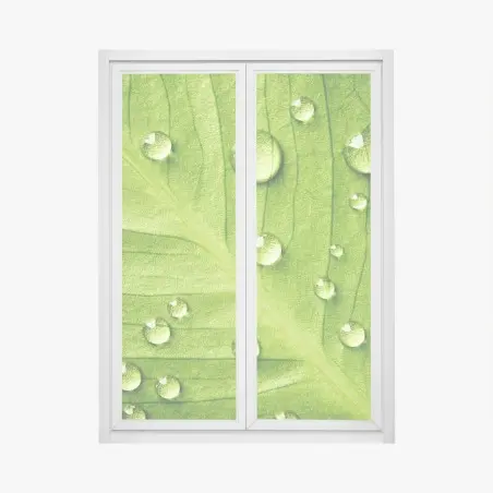 Pegatina para ventana hoja verde con gotas de rocío – Pixers®