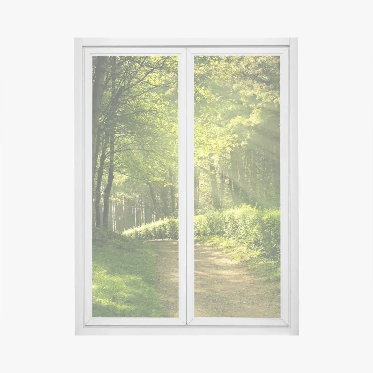 Pegatina para ventana sendero luminoso en el bosque – Pixers® Pegatina para ventana sendero luminoso en el bosque – Pixers®