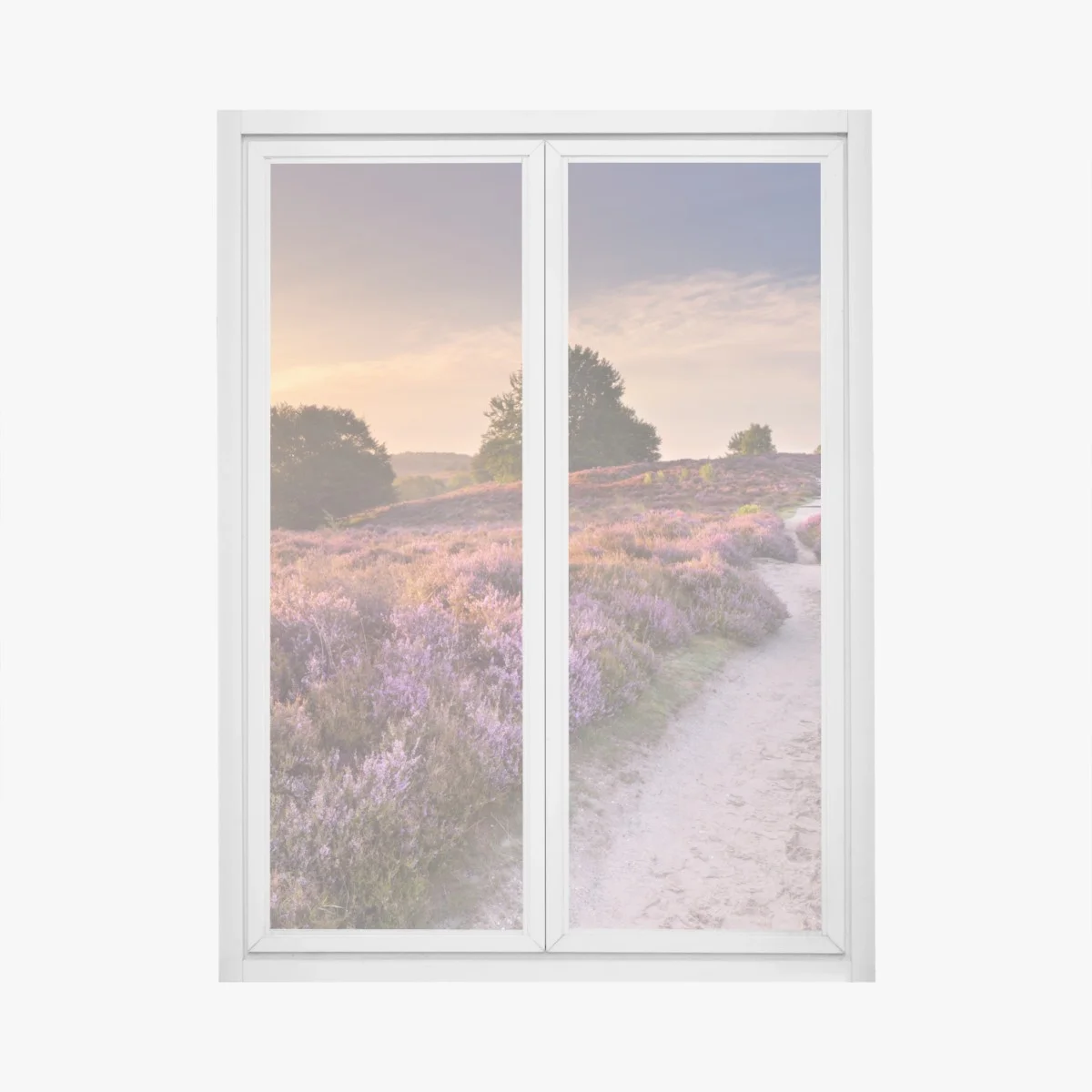 Pegatina para ventana amanecer en el brezal de Posbank – Pixers® Pegatina para ventana amanecer en el brezal de Posbank – Pixers®