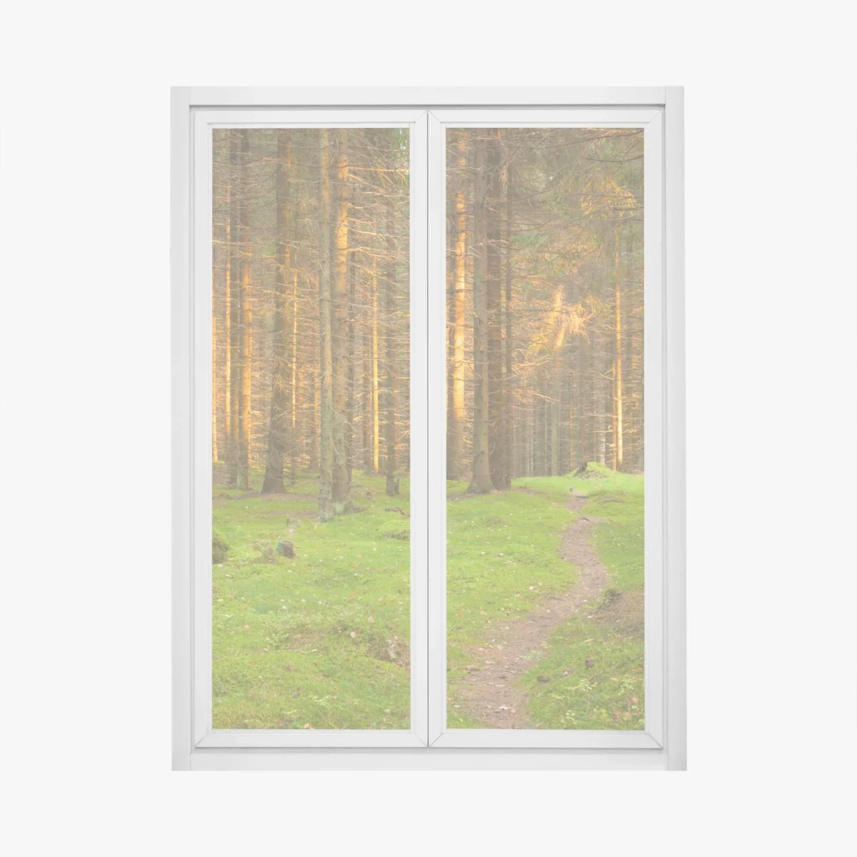 Pegatina para ventana bosque iluminado al atardecer – Pixers® Pegatina para ventana bosque iluminado al atardecer – Pixers®