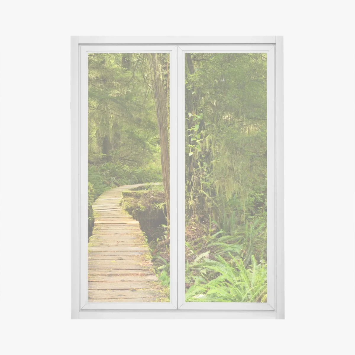 Pegatina para ventana sendero místico en Pacific Rim, isla de Vancouver – Pixers® Pegatina para ventana sendero místico en Pacific Rim, isla de Vancouver – Pixers®