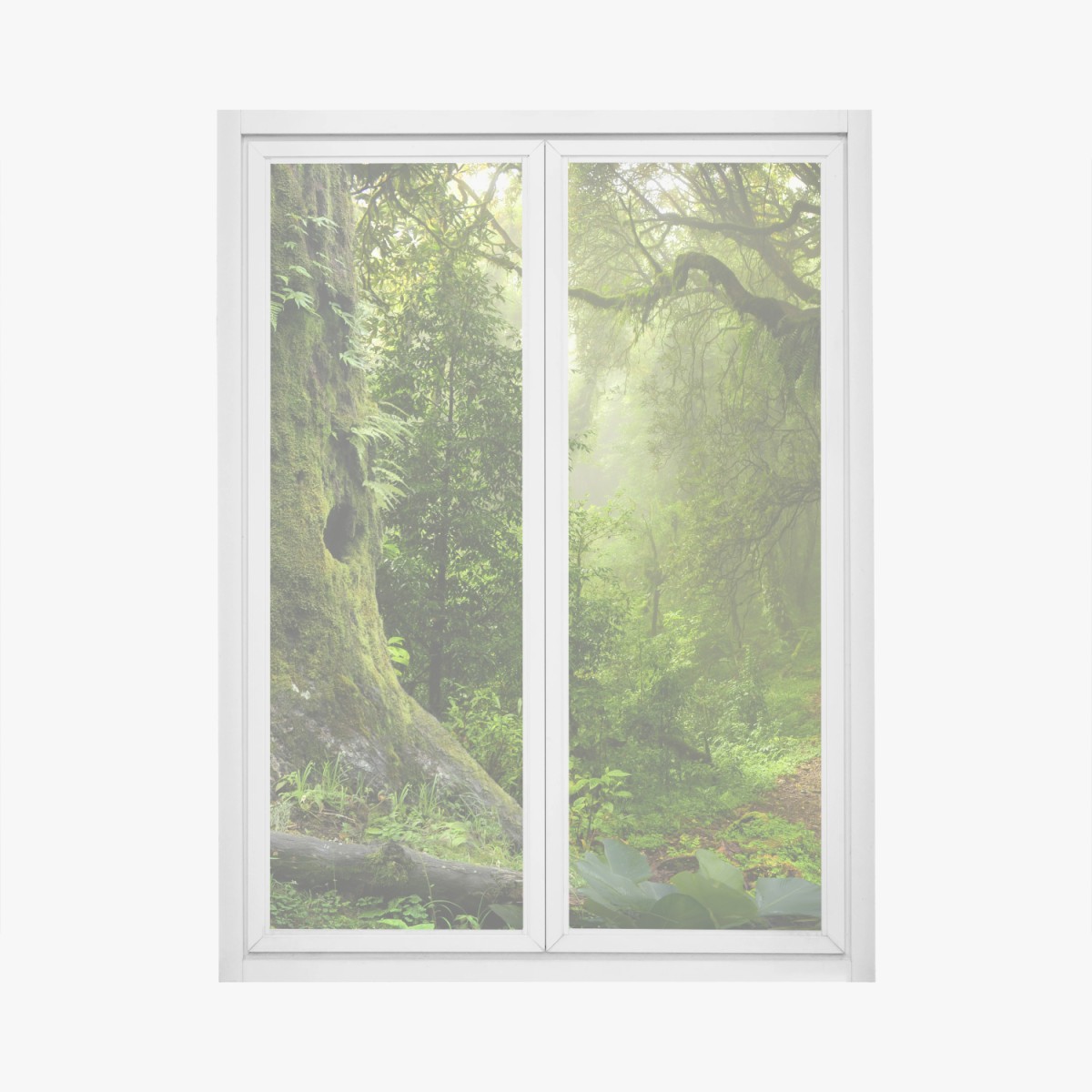 Pegatina para ventana bosque ancestral en bruma – Pixers®