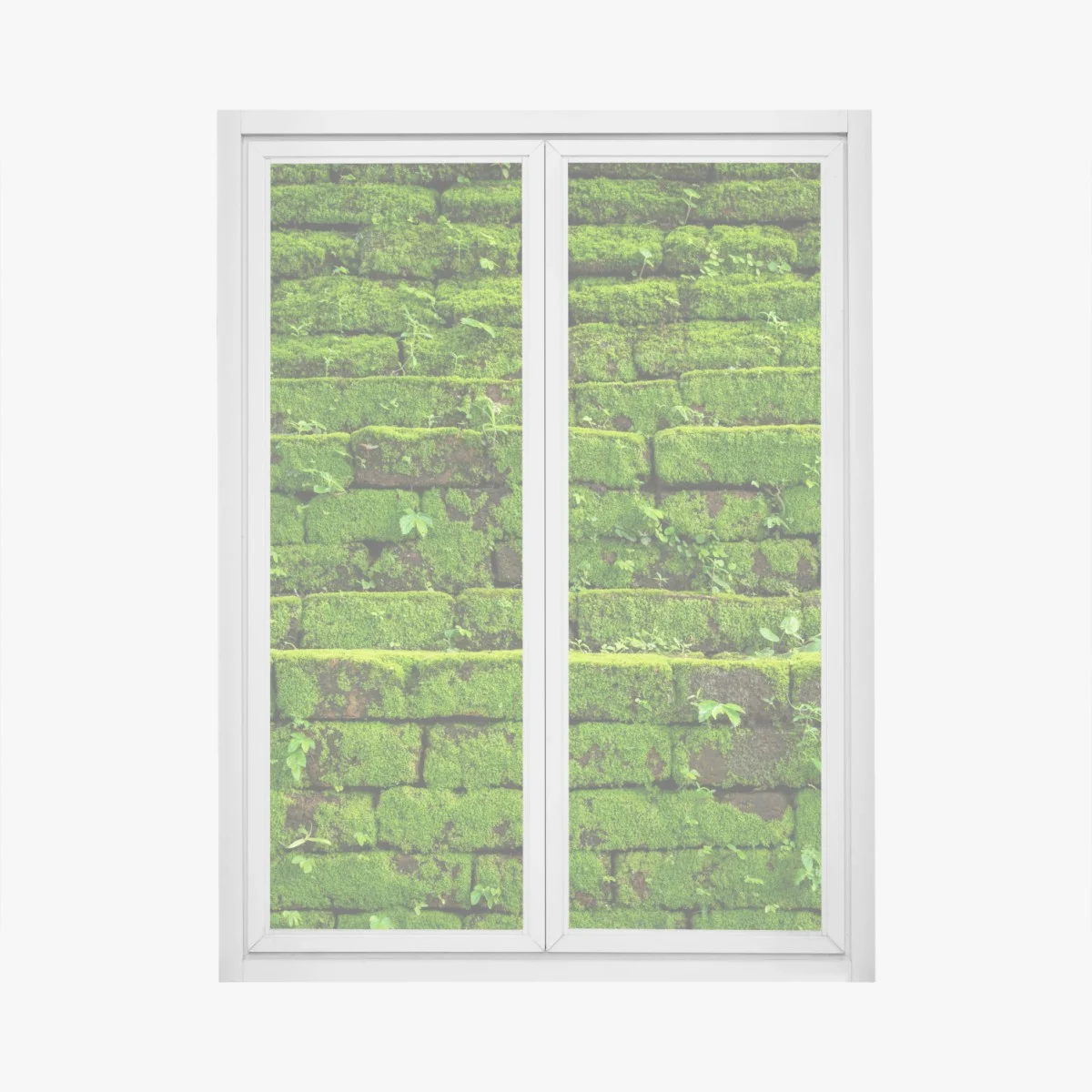 Pegatina para ventana muro verde cubierto de musgo rústico – Pixers® Pegatina para ventana muro verde cubierto de musgo rústico – Pixers®