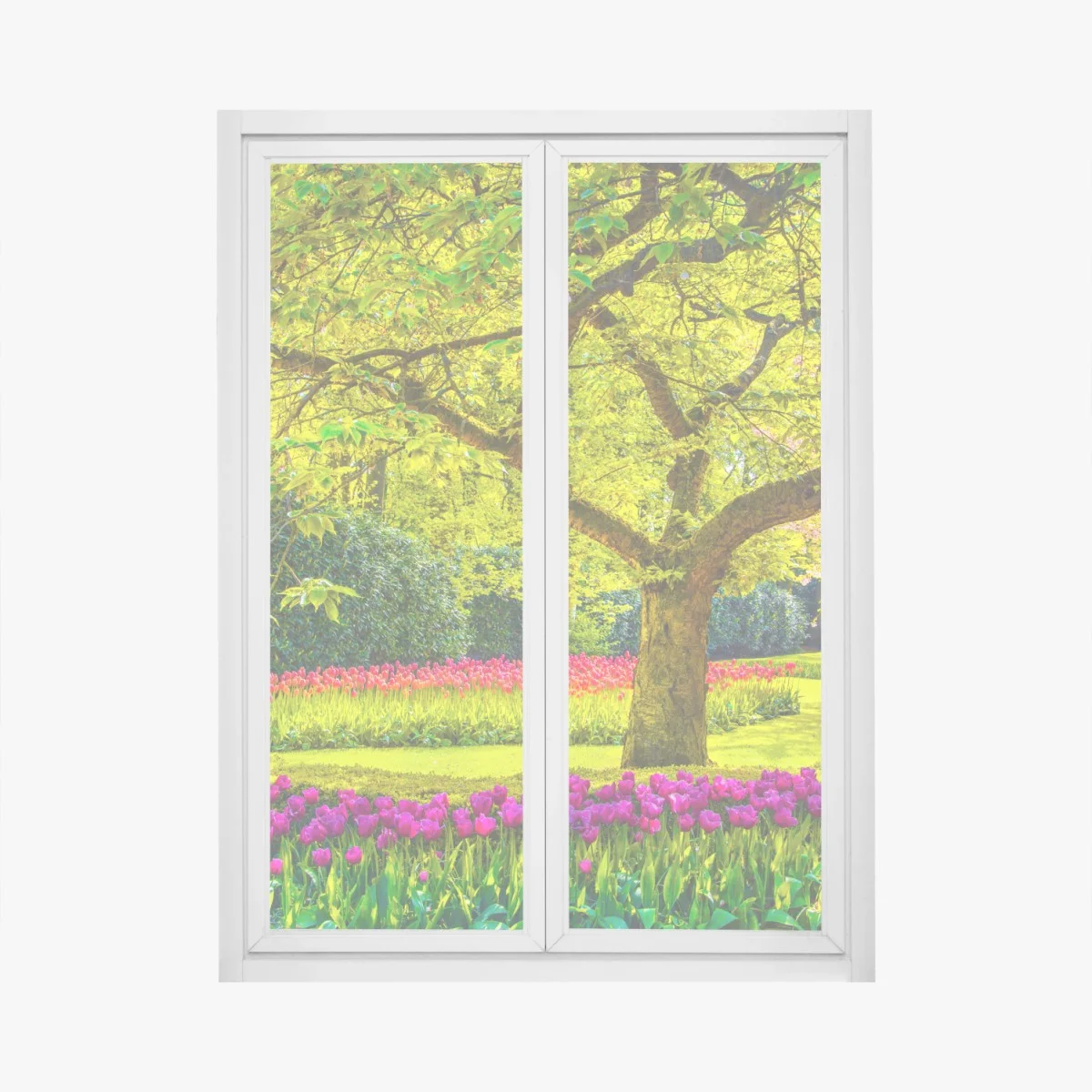 Pegatina para ventana jardín de tulipanes en Keukenhof – Pixers® Pegatina para ventana jardín de tulipanes en Keukenhof – Pixers®