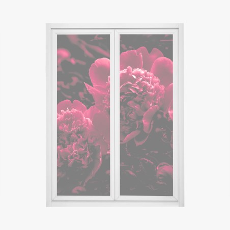 Pegatina para ventana peonías rojas en alto contraste – Pixers®