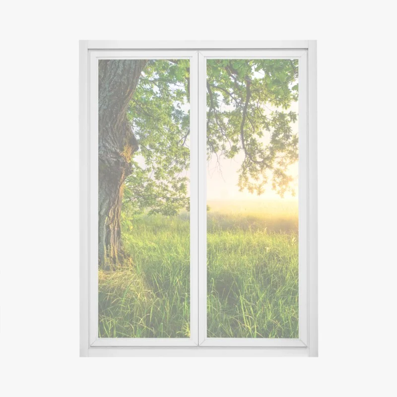 Pegatina para ventana roble majestuoso al amanecer