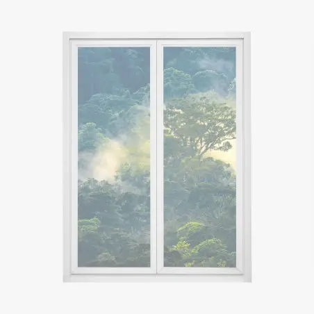 Pegatina para ventana amanecer en la selva neblinosa – Pixers®