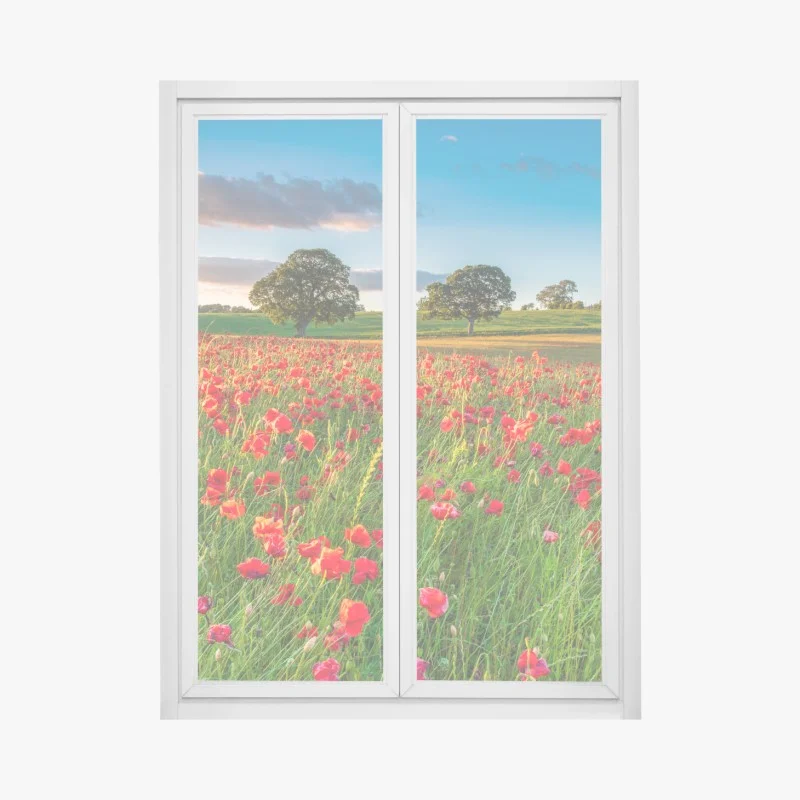 Pegatina para ventana campo de amapolas en Corbridge, Northumberland