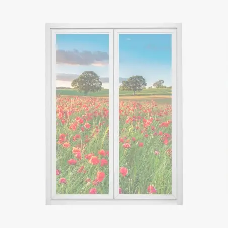 Pegatina para ventana campo de amapolas en Corbridge, Northumberland – Pixers®