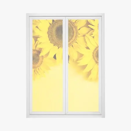 Pegatina para ventana girasoles sobre fondo amarillo – Pixers®