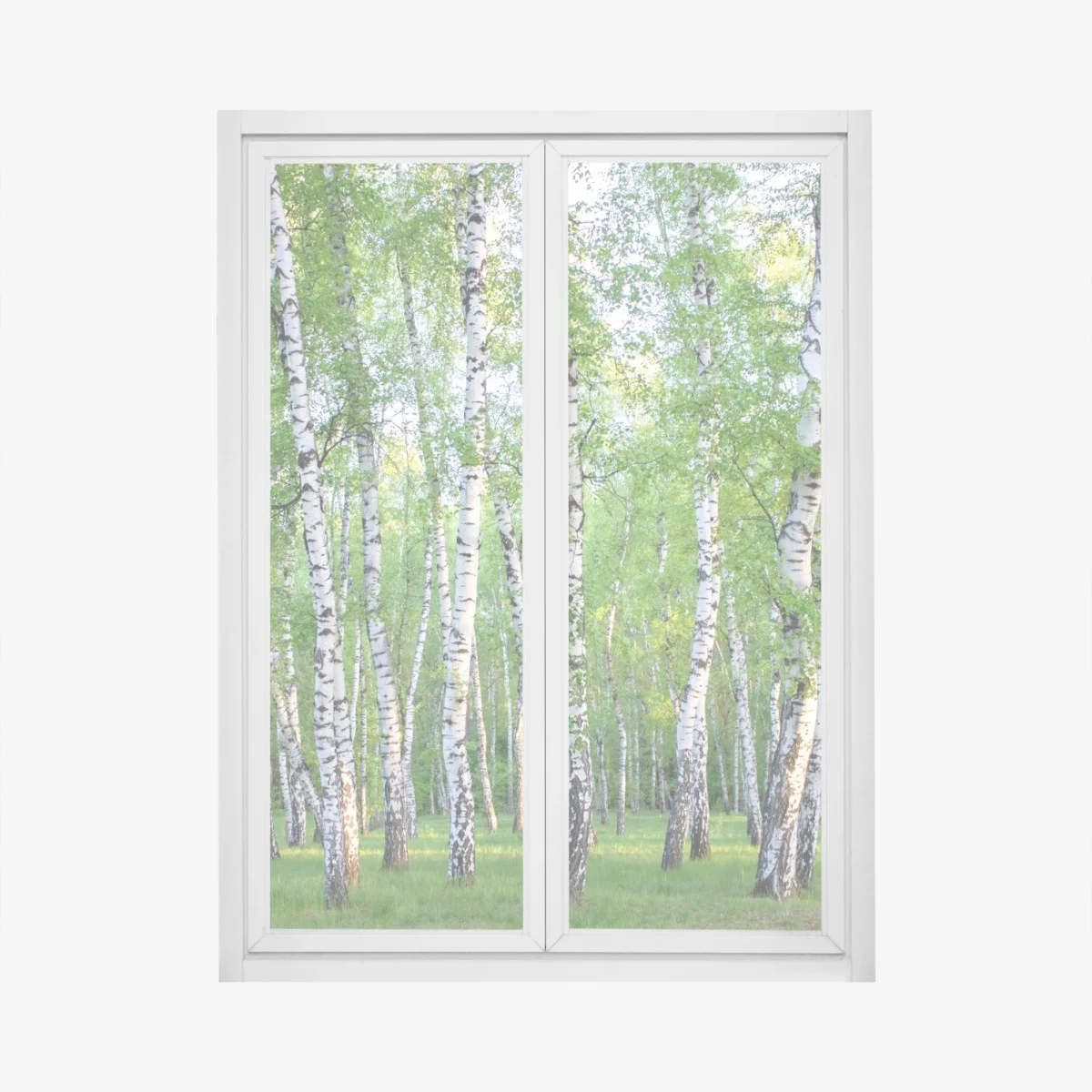 Pegatina para ventana arboleda de abedules en verano – Pixers® Pegatina para ventana arboleda de abedules en verano – Pixers®