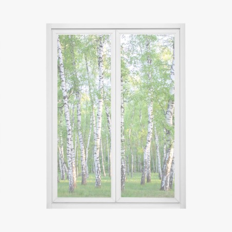 Pegatina para ventana arboleda de abedules en verano – Pixers®