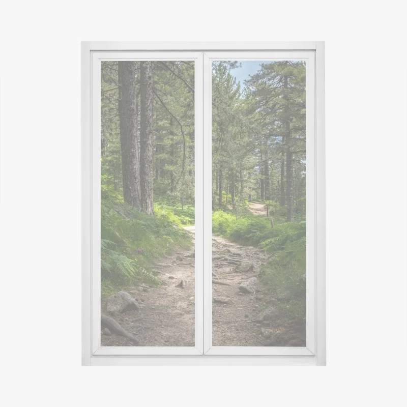 Pegatina para ventana sendero boscoso bañado de luz entre helechos