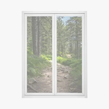Pegatina para ventana sendero boscoso bañado de luz entre helechos – Pixers®