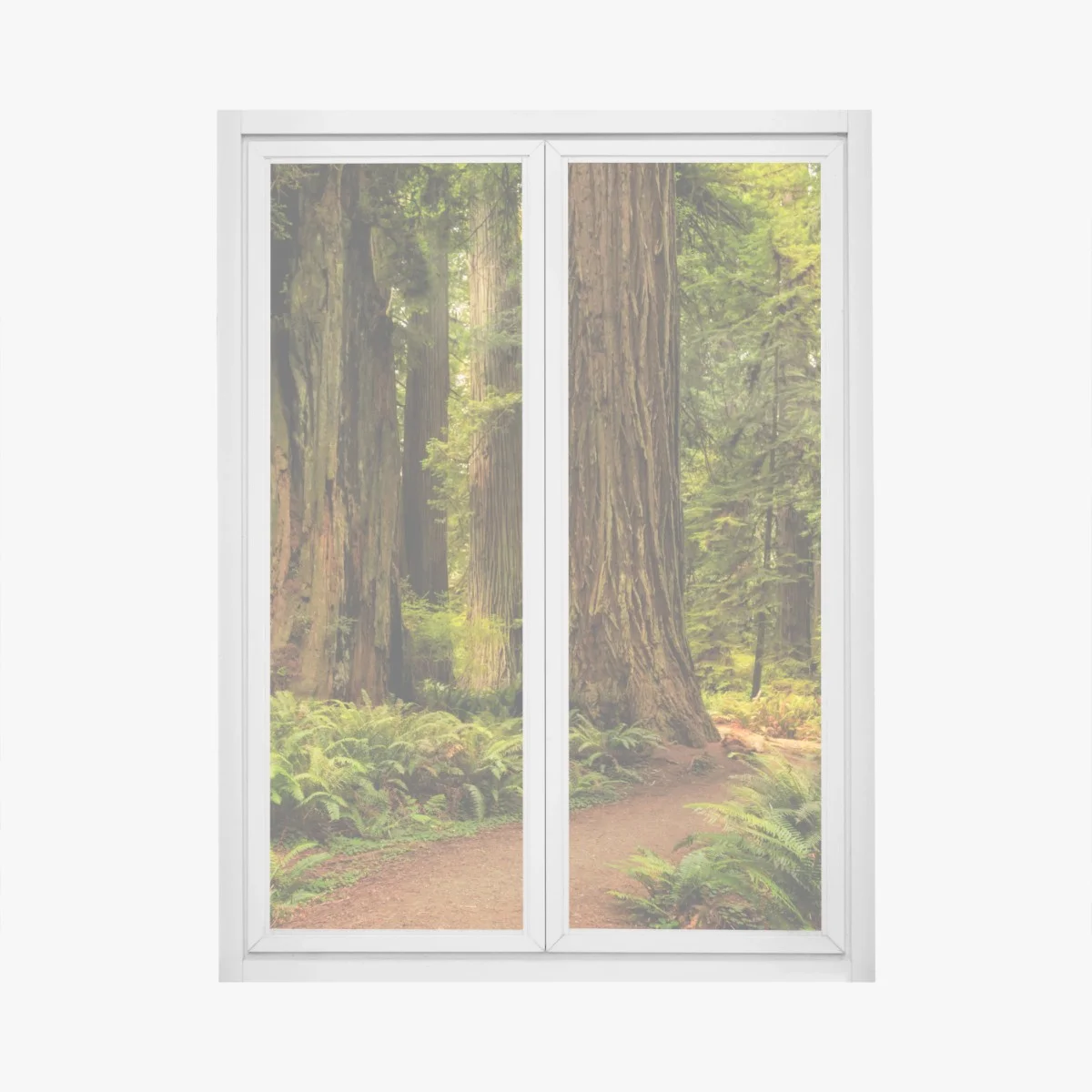 Pegatina para ventana bosque de secuoyas en California – Pixers® Pegatina para ventana bosque de secuoyas en California – Pixers®