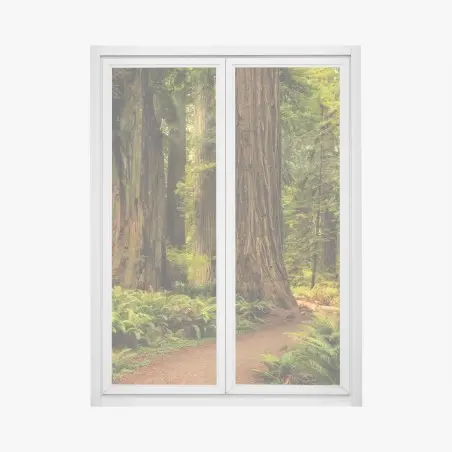 Pegatina para ventana bosque de secuoyas en California – Pixers®