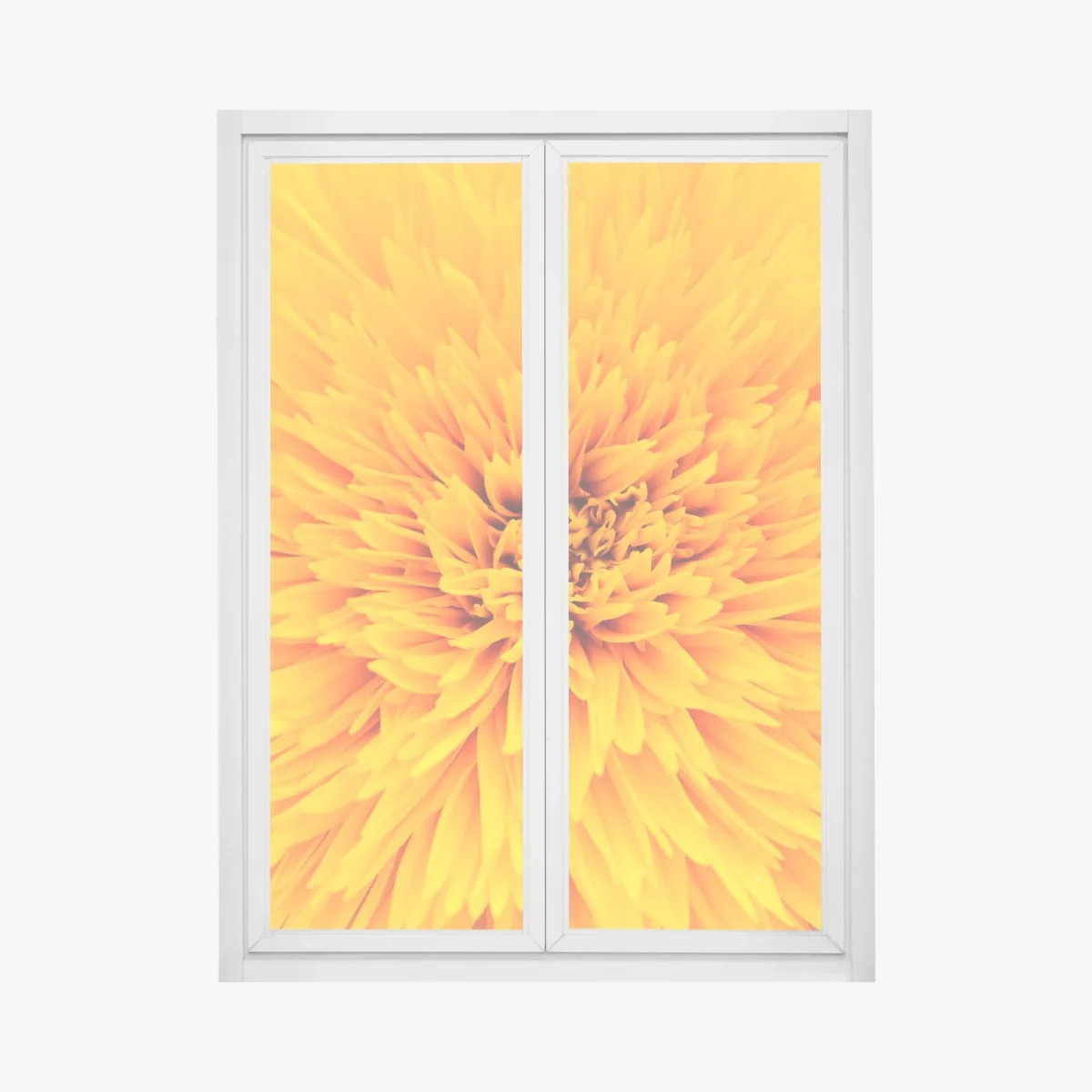 Pegatina para ventana explosión de pétalos amarillos – Pixers® Pegatina para ventana explosión de pétalos amarillos – Pixers®