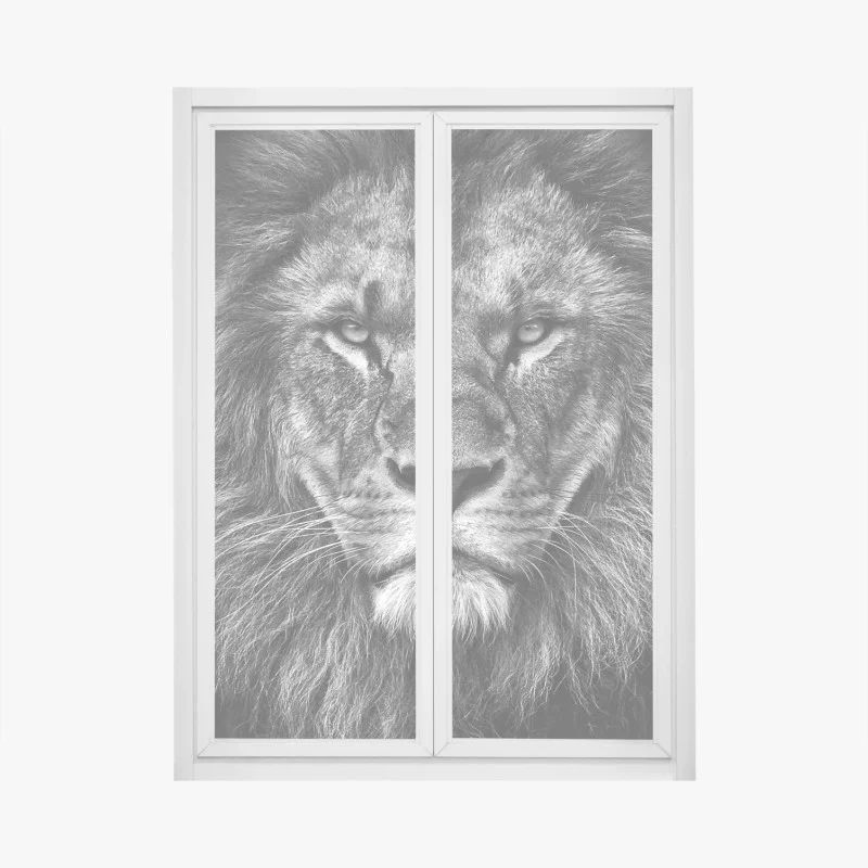 Pegatina para ventana retrato majestuoso de león en blanco y negro