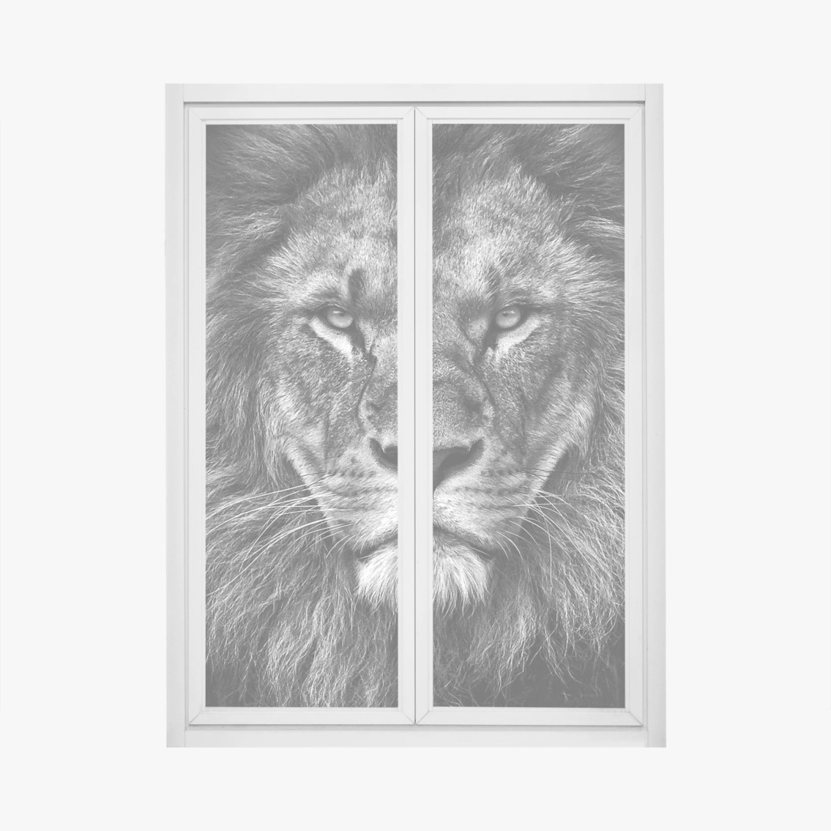 Pegatina para ventana retrato majestuoso de león en blanco y negro – Pixers®
