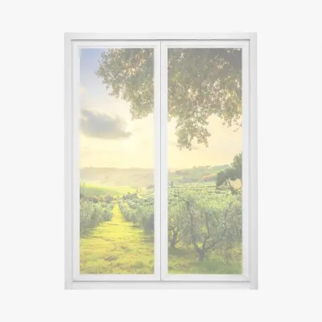 Pegatina para ventana atardecer en los olivares de Casale Marittimo, Toscana – Pixers®