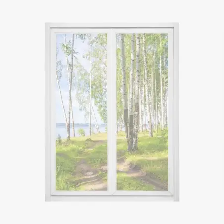 Pegatina para ventana bosque de abedules junto al río – Pixers®
