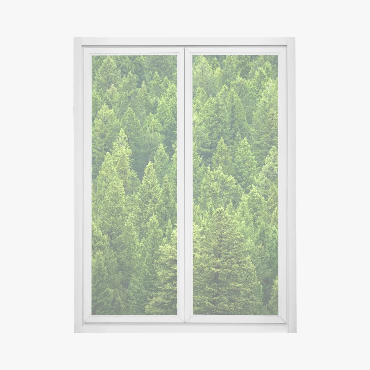 Pegatina para ventana bosque de pinos en verde esmeralda – Pixers® Pegatina para ventana bosque de pinos en verde esmeralda – Pixers®
