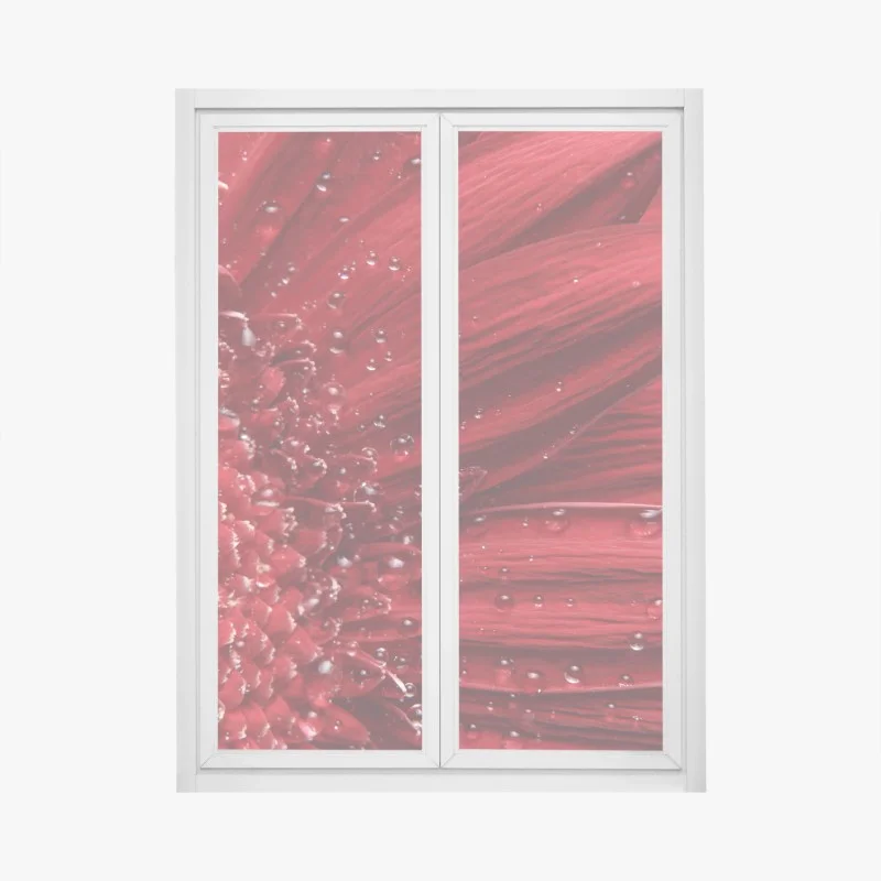 Pegatina para ventana gerbera roja en primer plano con gotas