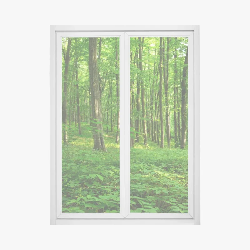 Pegatina para ventana bosque verde bañado por el sol