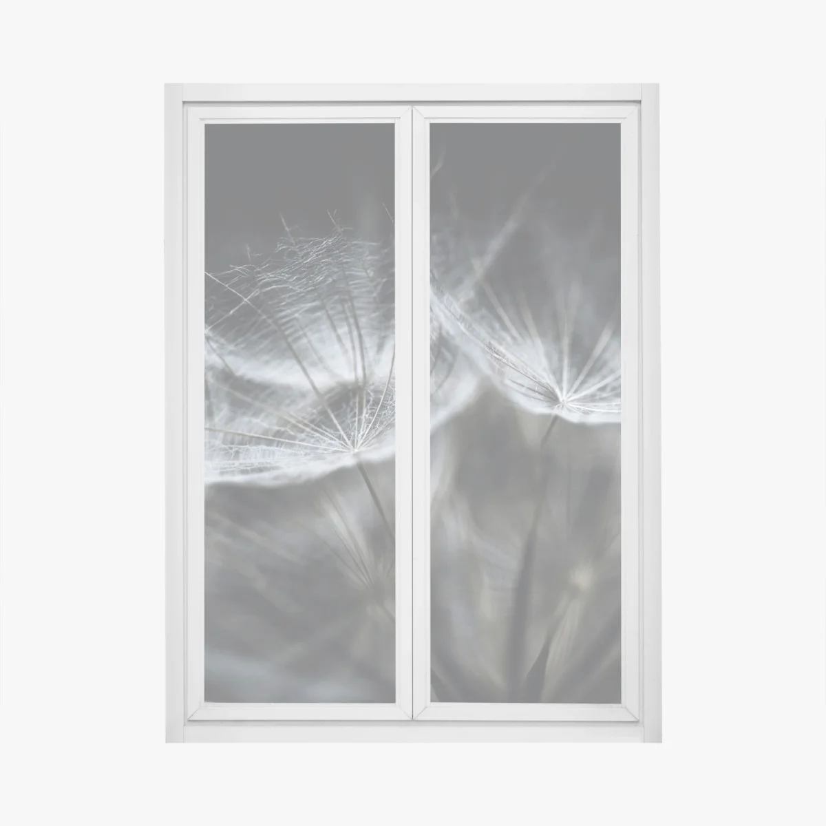 Pegatina para ventana detalle etéreo de diente de león – Pixers® Pegatina para ventana detalle etéreo de diente de león – Pixers®