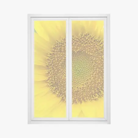 Pegatina para ventana girasol luminoso en primer plano – Pixers®