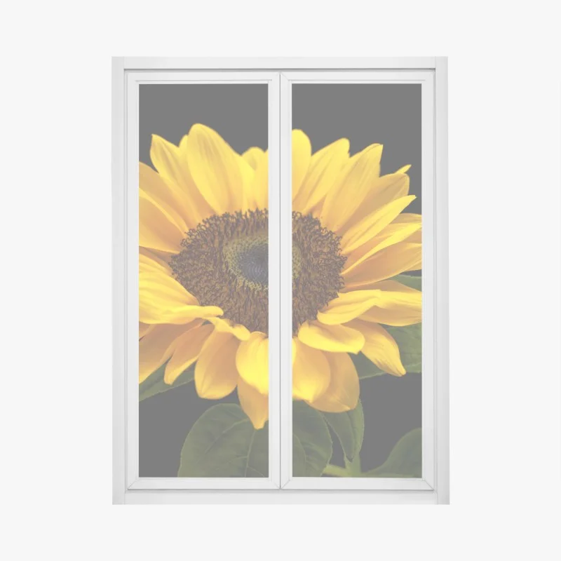 Pegatina para ventana girasol luminoso sobre fondo negro