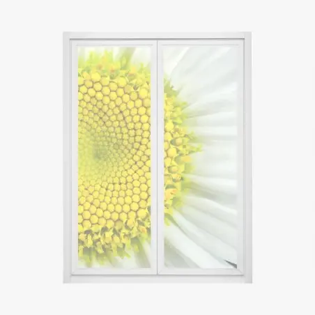 Pegatina para ventana margarita en primer plano con patrón Fibonacci – Pixers®