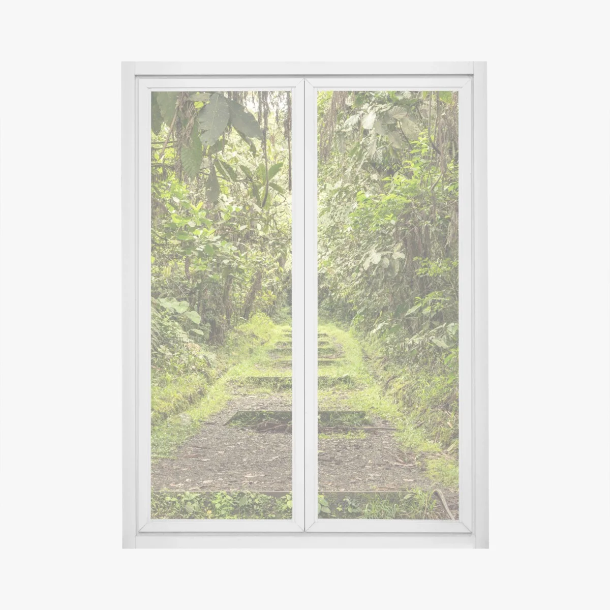 Pegatina para ventana sendero entre la selva tropical – Pixers® Pegatina para ventana sendero entre la selva tropical – Pixers®
