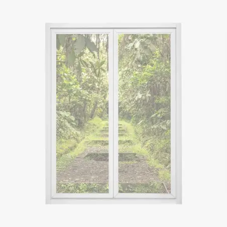 Pegatina para ventana sendero entre la selva tropical – Pixers®