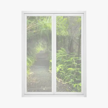 Pegatina para ventana sendero del bosque lluvioso en Kilauea Iki – Pixers®