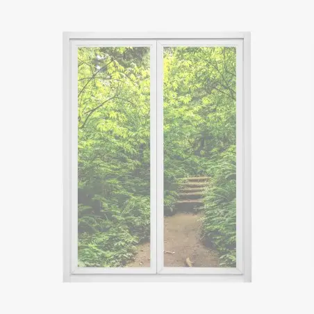 Pegatina para ventana sendero entre helechos en bosque verde – Pixers®