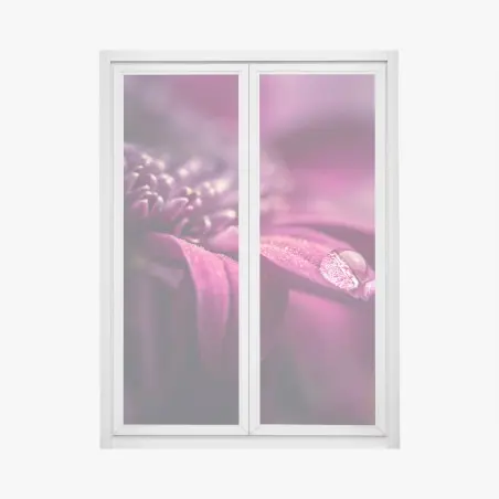 Pegatina para ventana pétalo púrpura con gota de rocío – Pixers®