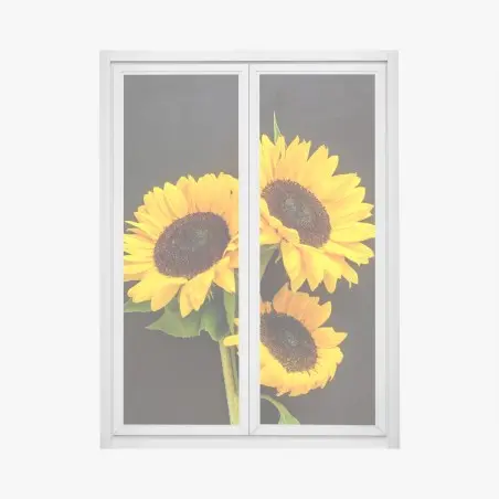 Pegatina para ventana girasoles sobre fondo negro – Pixers®