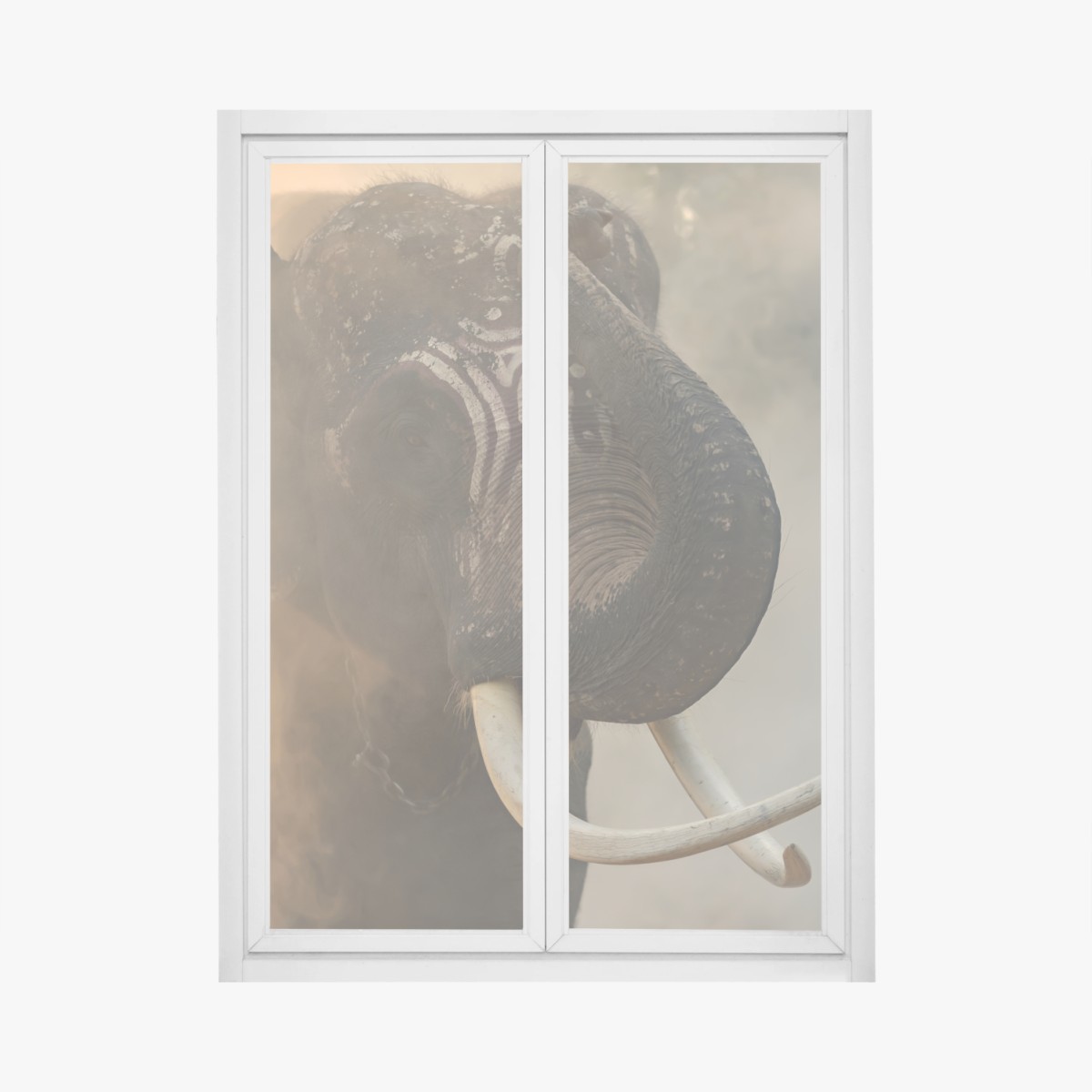Pegatina para ventana elefante de Surin en la niebla dorada – Pixers®