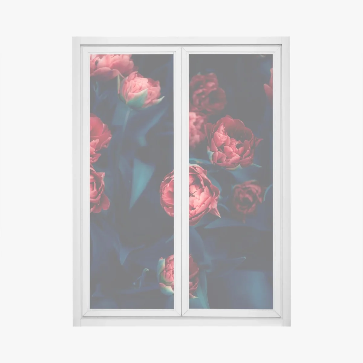 Pegatina para ventana tulipanes rojos en contraste nocturno – Pixers® Pegatina para ventana tulipanes rojos en contraste nocturno – Pixers®