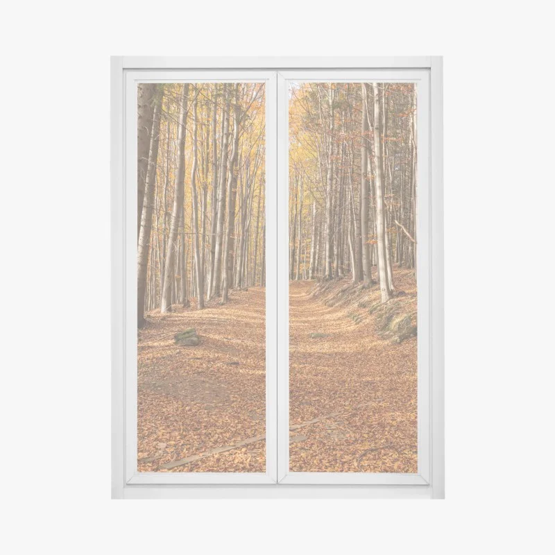 Pegatina para ventana sendero otoñal entre hayas doradas
