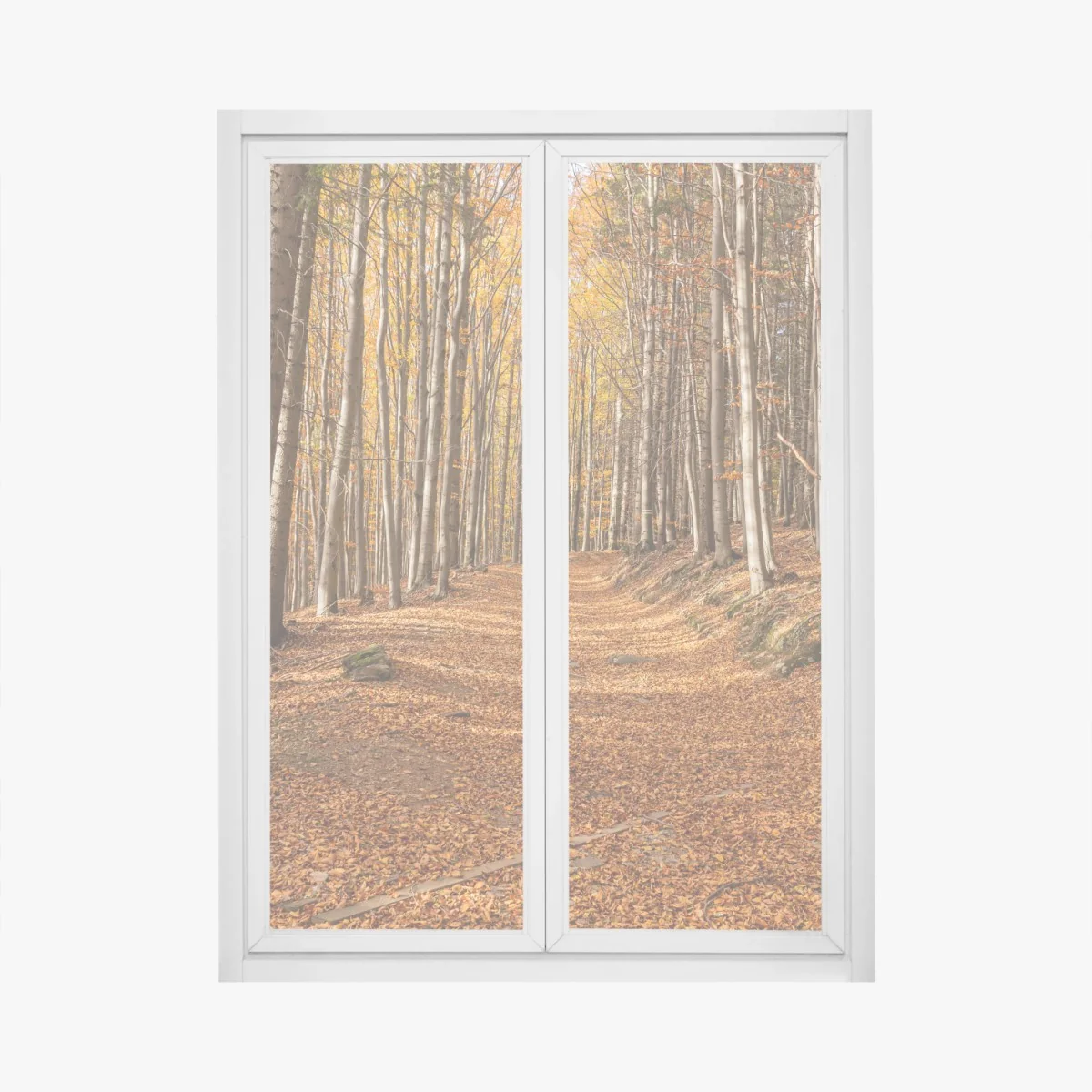 Pegatina para ventana sendero otoñal entre hayas doradas – Pixers® Pegatina para ventana sendero otoñal entre hayas doradas – Pixers®